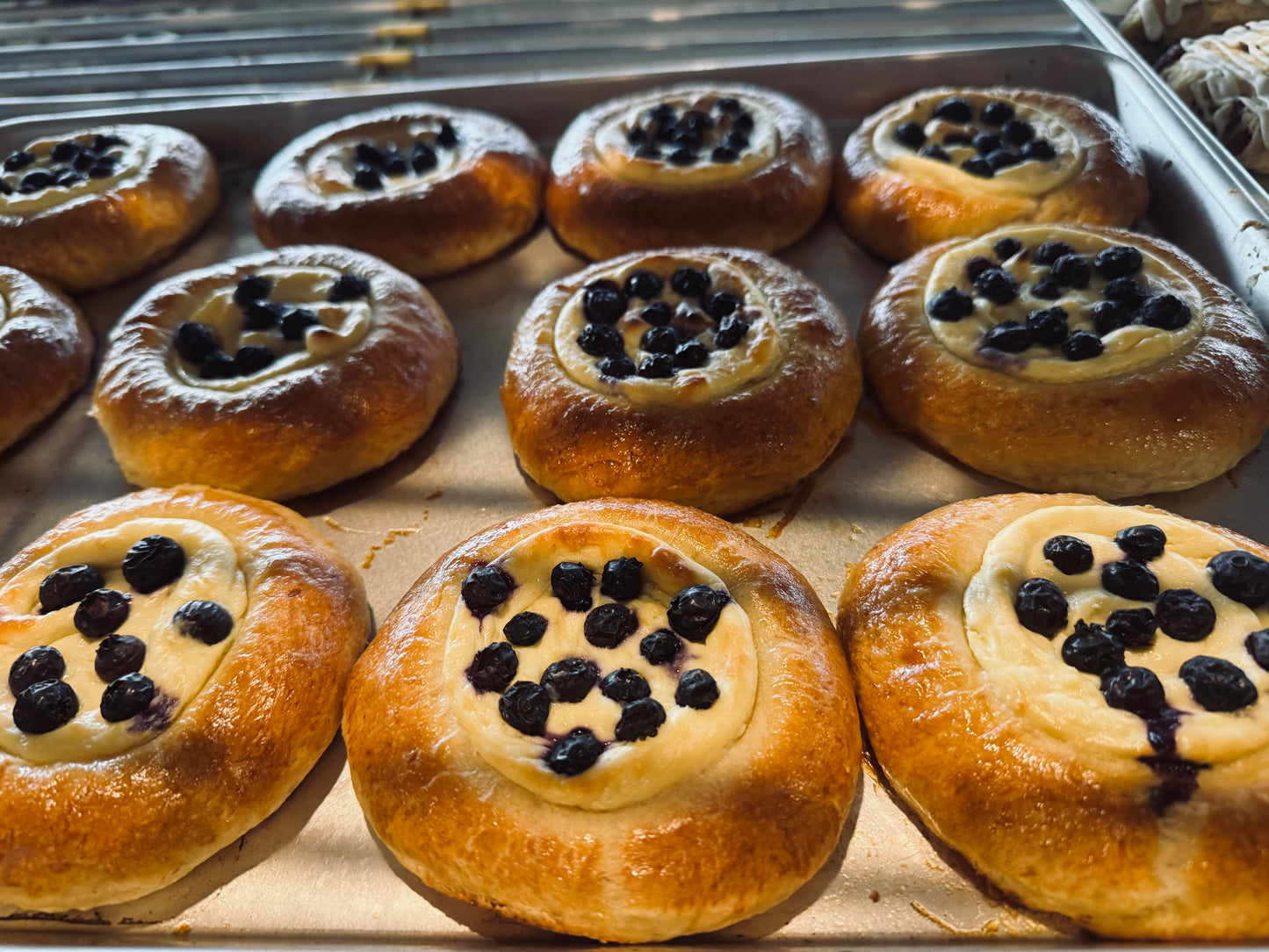 Sourdough cream cheese lemon blueberry buns (4)