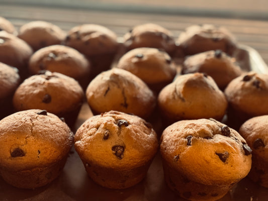 Jumbo sourdough Chocolate chip muffins (6)